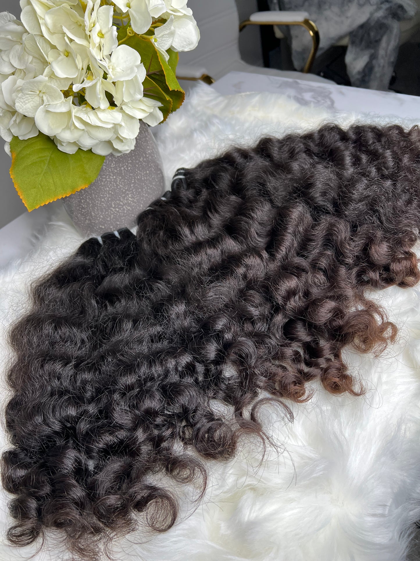 Asian Curly